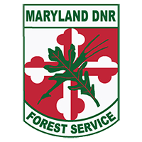 Maryland DNR Forest Service